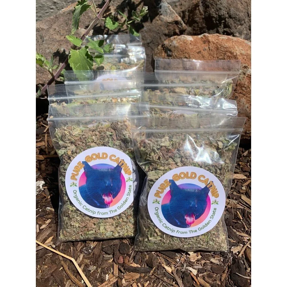 PURE GOLD Catnip Organically Grown & Harvested Pure Californian Catnip 4